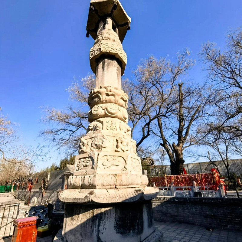 猩咖说山西临汾大槐树含门票大咖2H小包团讲解山西旅游含耳机