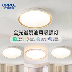 Op Ceiling Light for Bedroom, Study, Balcony, Led Ceiling Lamp, Modern Minimalist Children's Room Lighting, Whole House Lighting, See Ws