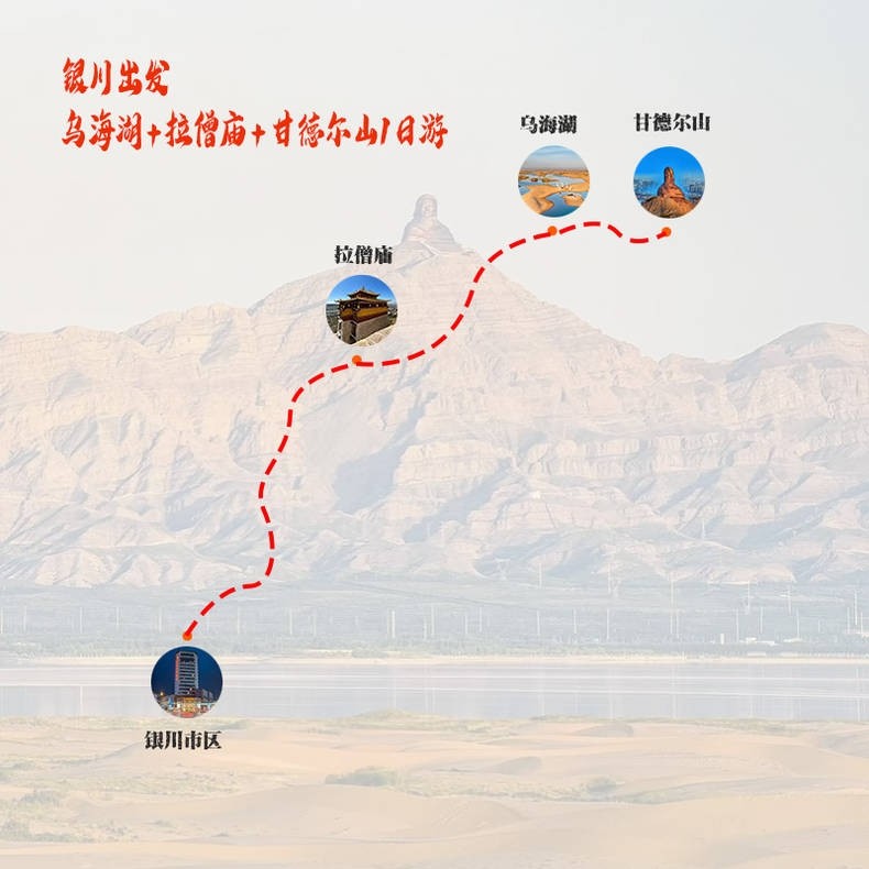 银川包车出发乌海湖一日游+网红沙漠枯树林+拉僧庙+远观甘德尔山