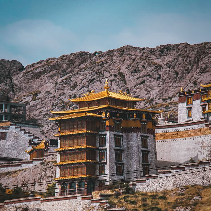 银川包车出发乌海湖一日游+网红沙漠枯树林+拉僧庙+远观甘德尔山