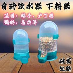 Parrot Feeder, Pigeon Waterer, Automatic Water Dispenser, Water Bottle, Pigeon Supplies, Quail Equipment, Trough, Bird Water Bottle