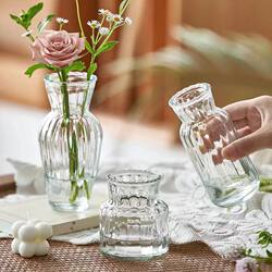 [Three-Piece Set] ins Mini Glass Vases for Hydroponic Green Plants, Decorative Tabletop Transparent Flower Arrangements