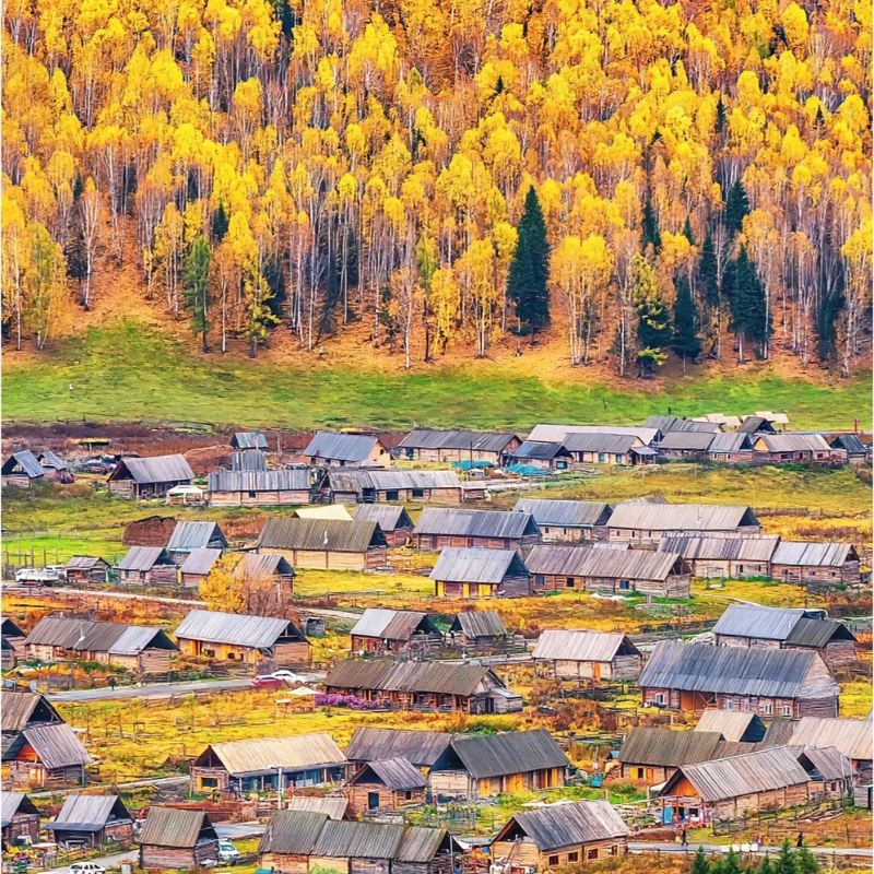 含机票 纯玩6人团新疆北疆旅游喀纳斯禾木白哈巴西北第一村8天7晚