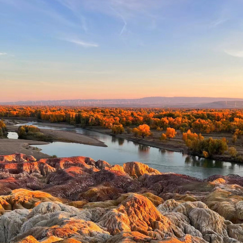 含机票 纯玩6人团新疆北疆旅游喀纳斯禾木白哈巴西北第一村8天7晚