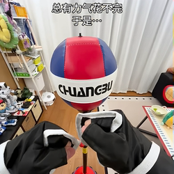 Boxing Standing Speed Ball Indoor Sports Fitness Equipment Home Reaction Training Punching Bag Stress Relief Tumbler