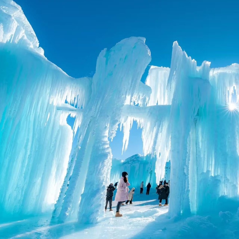 新疆旅游北疆伊宁那拉提+赛里木湖拼车2日一伊犁起止