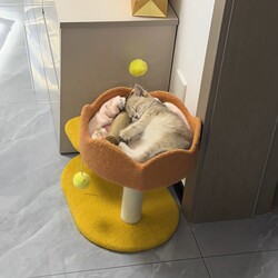 Cat Climbing Frame for Small Apartments, Space-Saving, Integrated Cat House, Small Cat Tree, Cat Toys, Pet Supplies