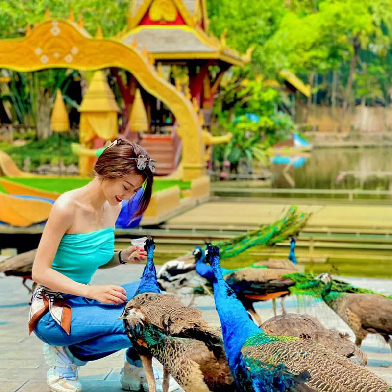 云南旅游自由行西双版纳5天4晚纯玩亲子家庭旅行普洱小熊猫野象谷