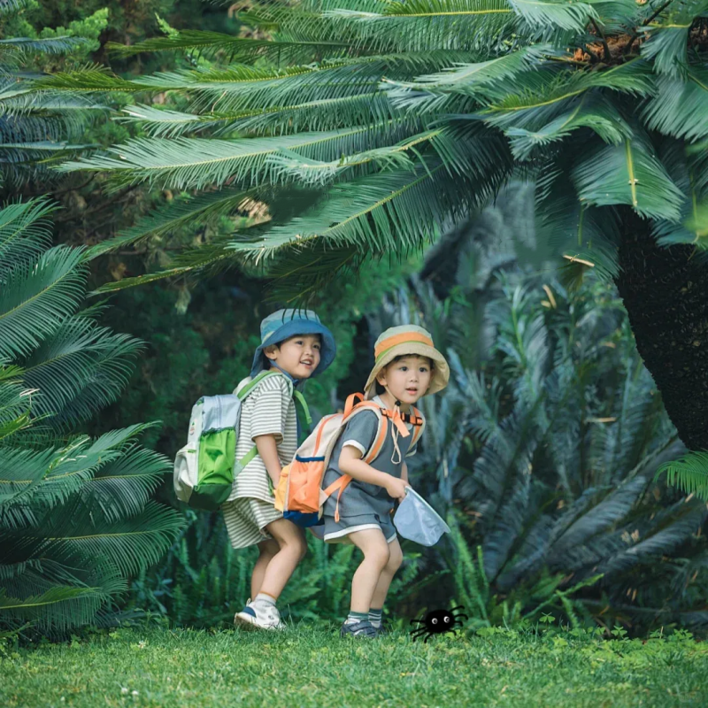 云南旅游自由行西双版纳5天4晚纯玩亲子家庭旅行普洱小熊猫野象谷