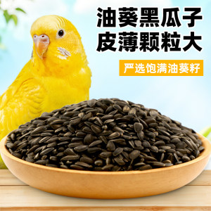
Parrot oil sunflower black melon seeds parrot snacks black phoenix training reward small melon seeds pet bird feed food