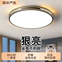 Led Ultra-Bright Living Room Ceiling Light, Eye-Protecting Main Bedroom Pendant Light, Modern Minimalist and Elegant Design, Zhongshan Ancient Town Restaurant