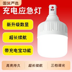 Rechargeable Light Bulb, Emergency Light, Outdoor Camping Household Led Night Market Stall Light, Long-Lasting Battery, Switchable for Indoor Use