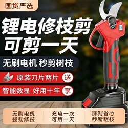 Electric Pruning Shears for Fruit Trees and Gardens, Rechargeable Handheld Lithium Battery High-Power Pruning Tool