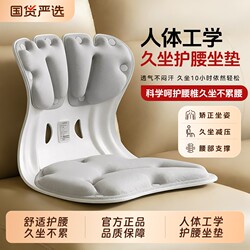 Oes Ergonomic Waist-Protecting Sitting Chair, a Miracle Product for Adults, with Support Cushion for Long Sitting Without Fatigue, Anti-Hunchback Support