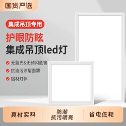 Changhong Integrated Ceiling Led Light Aluminum Panel Light for Bathroom 30X30 Embedded Flat Panel Light 300X300