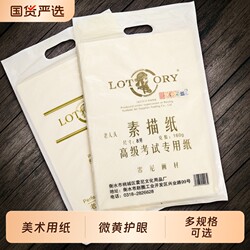 Elderly-Friendly 8K Sketch Paper, K Sketch Paper, 4K Art Paper for Art Students, Thickened Art Paper, 8 Quick-Dry Sketch Paper, 4K 2K Pencil Drawing Paper, 4K Drawing Paper, Tote Bag, Gouache Paper, Children's Drawing Paper, Cardstock