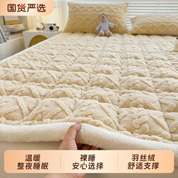 Class a Milk Velvet Soft Mattress, Thickened Mattress Pad, Winter Tatami Single Bed Base, Coral Fleece Mattress Foldable