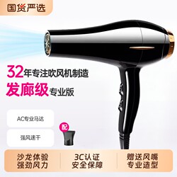 Hair Dryer with Negative Ions for Hair Care, Silent, Fast Drying, Household Use, Strong Wind, Blue Light, Professional for Hair Salons, High Power, Dormitory Use