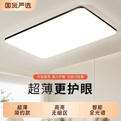 2025 New Model Eye-Protection Ceiling Light Led Room Bedroom Light Living Room Light Hall Modern Simple and Elegant Energy-Saving