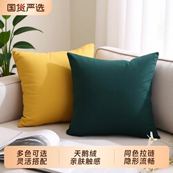 Velvet Sofa Backrest Pillow Cushion Headboard Fabric Living Room Plush Without Core Lumbar Pillow Square Soft Decoration Pumpkin