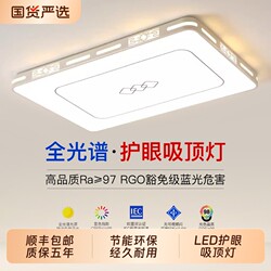 2025 New Model Led Ceiling Light for Room, Bedroom, Living Room, Hall, Modern Simple and Elegant Zhongshan Lighting Fixtures