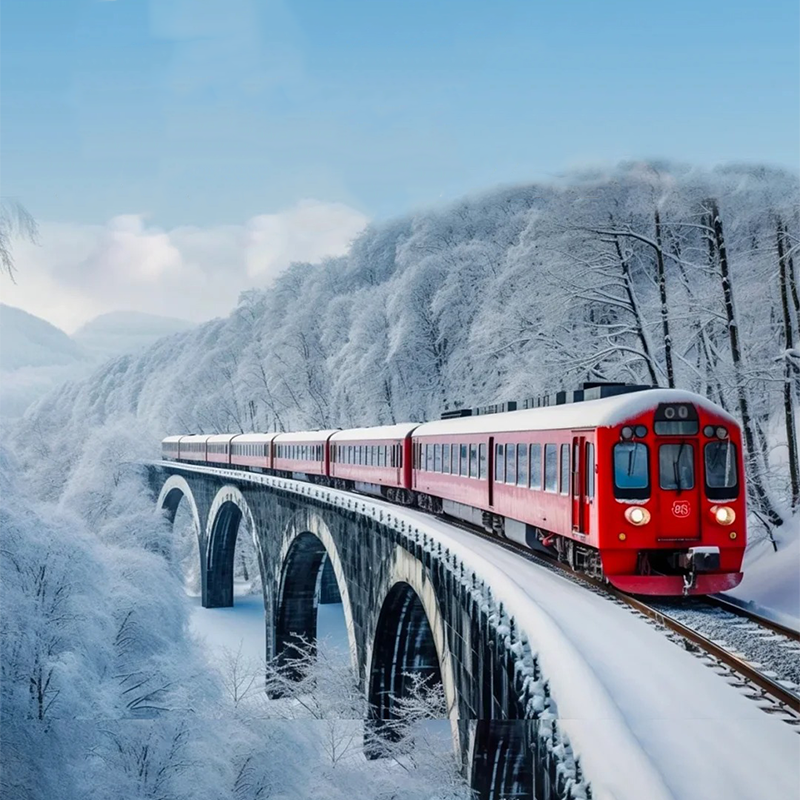 8人拼小团东北哈尔滨大兴安岭漠河北极村圣诞村白桦林驯鹿园6日游