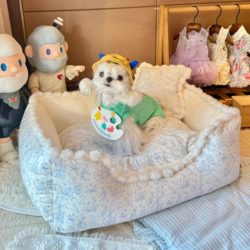 Zzpet Deep Sleep Dog Bed, Removable and Washable, Suitable for Maltese, Bichon, and Other Small to Medium-Sized Pets, Suitable for All Seasons