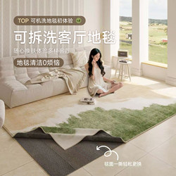 2026 New Carpet for Living Room, Removable and Washable, Cream Style, High-End Feel, Sofa Coffee Table Rug, Double-Layer, Machine Washable Bedside Rug