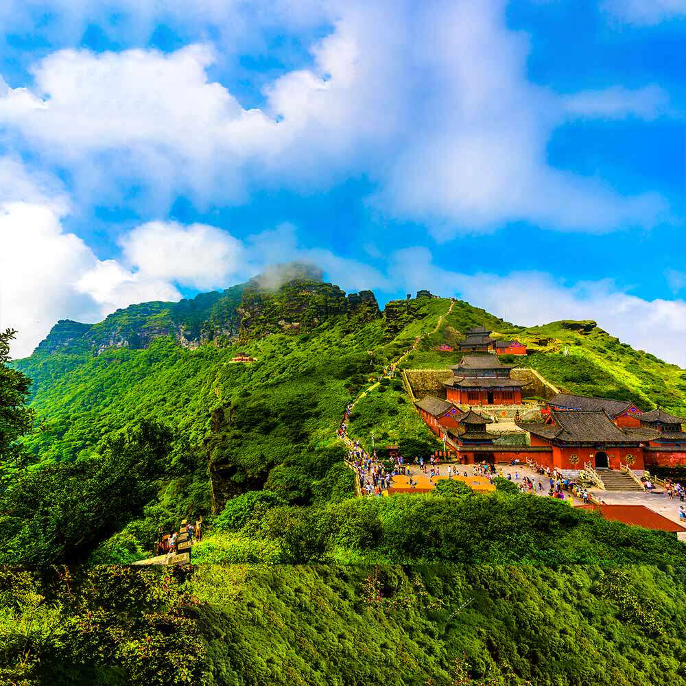 贵州旅游纯玩团梵净山一日游 蘑菇石红云金顶 飞猪旅行贵阳跟团游