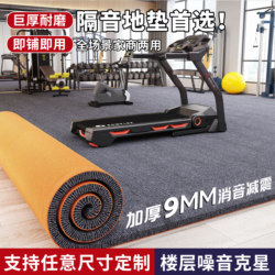 Thickened Soundproof Floor Mats for Gyms, Large-Area Full-Cover Shock-Absorbing Carpets, Indoor Home Floor Noise-Reducing and Sound-Absorbing Carpets