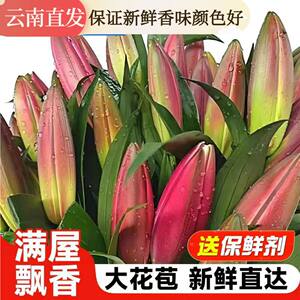 
Perfume big head fresh lily flower bouquet Yunnan Kunming base direct delivery to the same city multi-head rose Valentine's Day