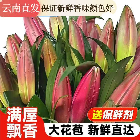 
Perfume big head fresh lily flower bouquet Yunnan Kunming base direct delivery to the same city multi-head rose Valentine's Day