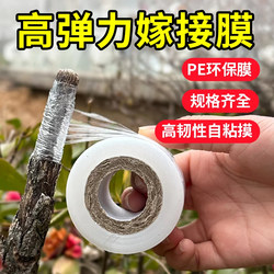 Specialized Film for Fruit Tree Grafting, No Need to Remove, Transparent, Stretchable, Ultra-Thin, No Need to Tie, Self-Adhesive Garden Tape, Pe Wrapping Film