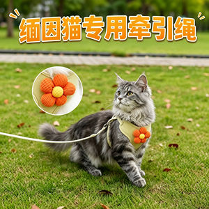 
Maine Coon cat special kitten traction rope cat pet kitten anti-breakaway outdoor harness traction cat rope outdoor