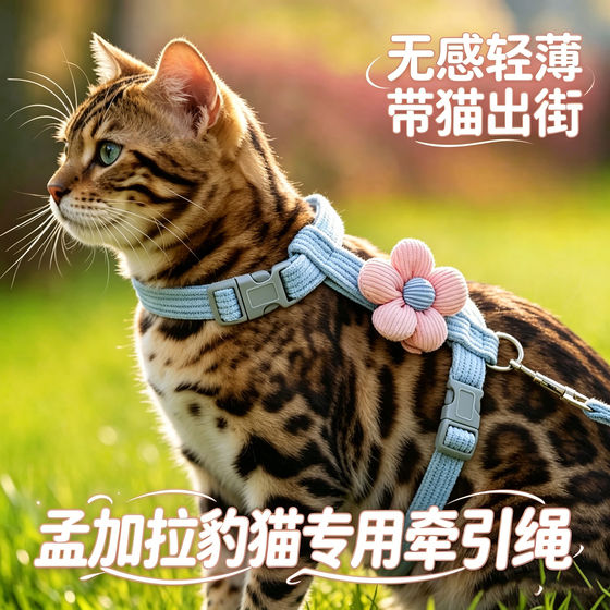 
Special kitten traction rope for Bengal leopard cat, cat pet and kitten anti-breakaway harness, rope for holding the cat