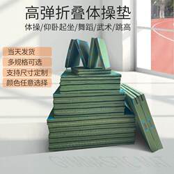 Gymnastics Mat, Wrestling and Acrobatics Mat, Dance Training Mat, Martial Arts Protection Mat, Taekwondo Mat, Sports Practice Mat, Folding Mat