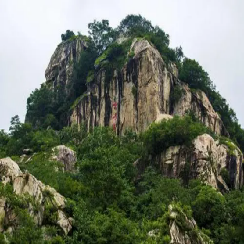 赏花春游好去处 翠华山景区纯玩1日跟团游 每周二四六日发团