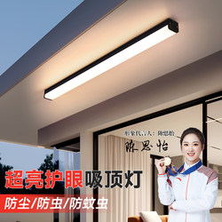 Special Lamp for Outdoor Sunrooms, Long Aluminum Ceiling Lamp, Smart Remote Control Balcony Mosquito-Proof, High-Temperature Resistant Canopy Lamp