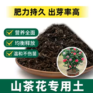 山茶花花盆- Top 50件山茶花花盆- 2024年6月更新- Taobao