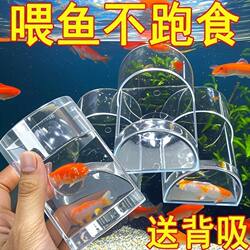 New Transparent Wall-Mounted Feeding Tube, Small Feeding Tube, Acrylic Feeder, Timed Fish Feeder