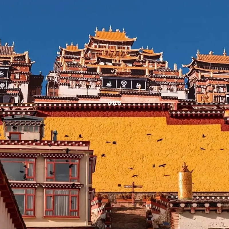 云南纯玩0购物旅游6天丽江大理洱海梅里雪山飞来寺日照金山双廊