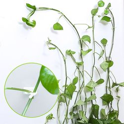 Green plant holder climbing wall artifact green plant climbing clip fixed card does not hurt the wall hook strong adhesive winding buckle