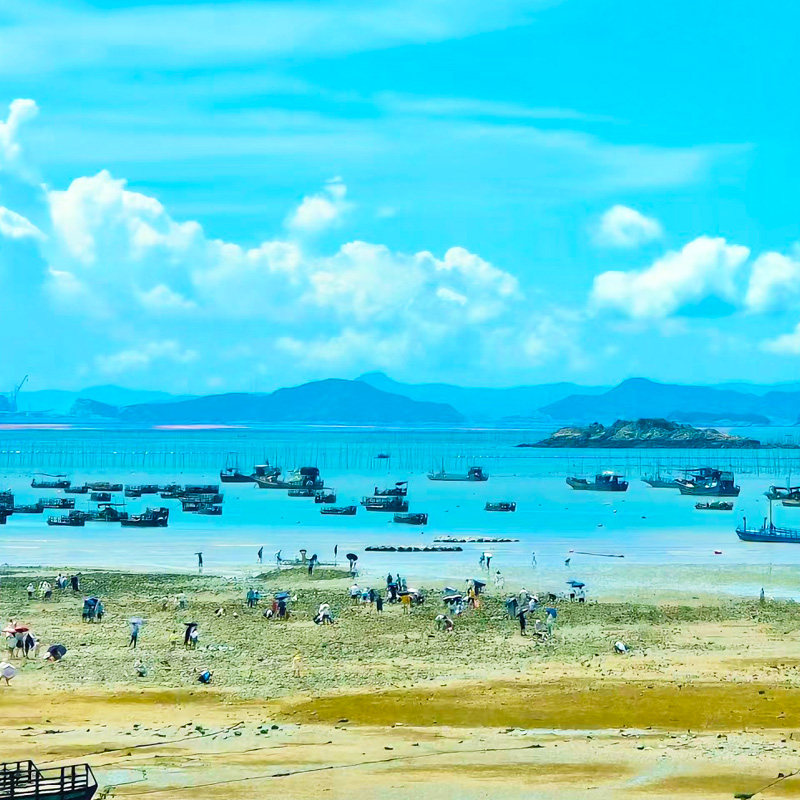 霞浦东壁一日游【2-8人小团+打卡醉美日落海岸线+可四礵列岛】