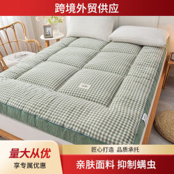 New Style Yarn-Dyed Feather Velvet Mattress, Thickened Mattress Pad, Home Soft Cushion, Dormitory Foldable Single/Double Mattress, Class a