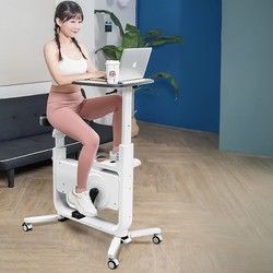 Installation-Free Magnetic Control Exercise Bike, Office Accessory, Home Spinning Bike, Silent Indoor Exercise Bike, One Piece
