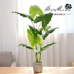Hot products simulated green plants large potted plants creative indoor ornaments simulated flowers photography props artificial plants fake flowers