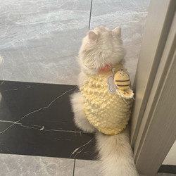 Cat Clothes Winter Wear Anti-Shedding Fleece-Lined Thickened Cotton Coat Cold-Proof 2025 New Pet-Specific Cute New Style
