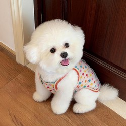 Dog Clothes Thin Summer Pet Clothes with Straps for Bichon Frise, Corgi, Small and Medium-Sized Dogs and Cats, 2026 New Breathable Style