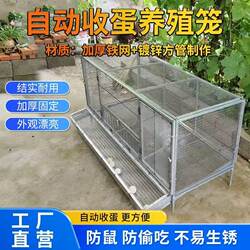 Chicken Cage for Home Use, Indoor and Outdoor, Large Wire Mesh, Rainproof, Weasel-Proof, Egg-Laying Cage, Automatic Egg Rolling Cage, Breeding Cage