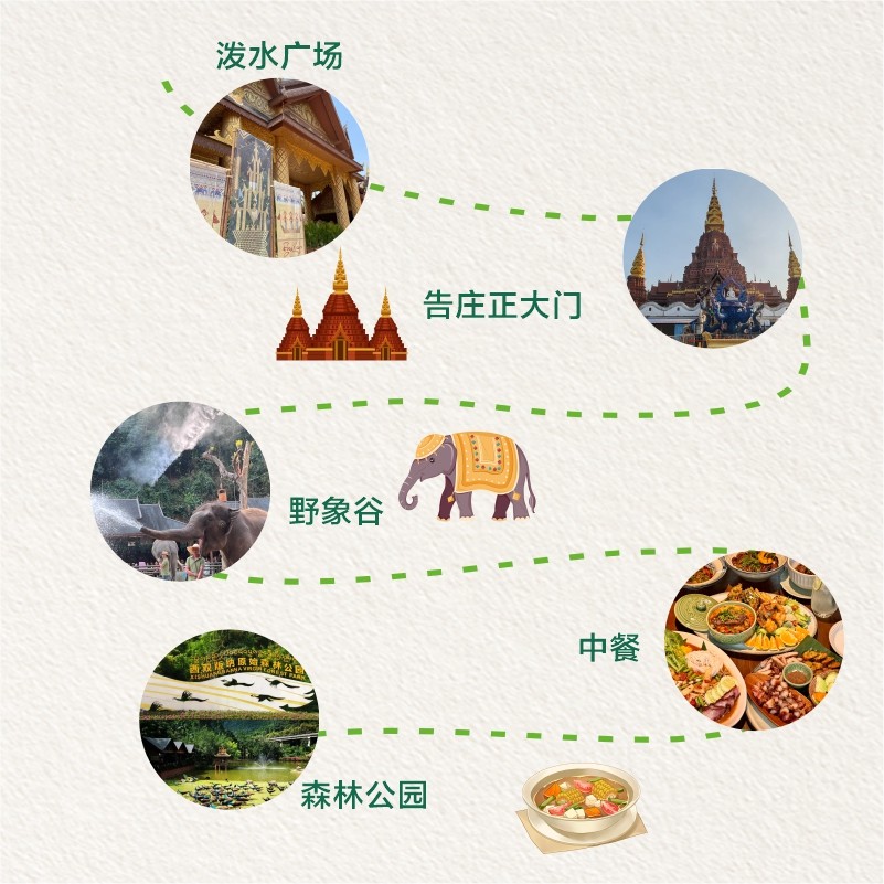 云南西双版纳旅游野象谷+森林公园纯玩一日游 孔雀放飞 野象踪迹